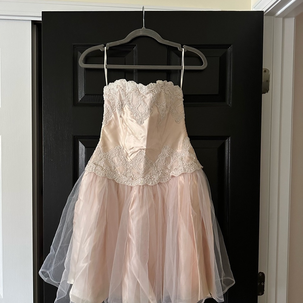 Vintage Pink Lace and Tulle Cocktail Dress Glinda Dress Ballerina Dress